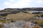 hkb_6-478_gullsmedvika_2025_052