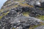 hkb_6-478_gullsmedvika_2025_065