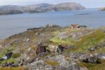 hkb_6-478_gullsmedvika_2025_072