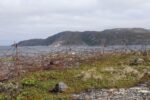 hkb_6-478_gullsmedvika_2025_076