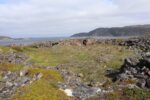 hkb_6-478_gullsmedvika_2025_077