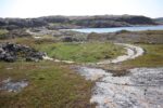 hkb_6-478_gullsmedvika_2025_097