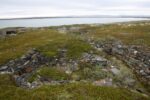 hkb_6-971_kistrand_2019_005