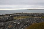 hkb_6-971_kistrand_2019_007