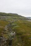 hkb_6-971_kistrand_2019_024