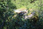 hkb_6-972_russelv_2023_069