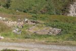 hkb_6-972_russelv_2023_105