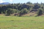 hkb_6-972_russelv_2023_107