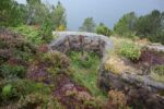 hkb_6-976_innlandet_2025_004