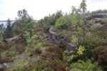 hkb_6-976_innlandet_2025_005