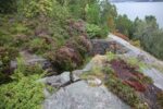 hkb_6-976_innlandet_2025_007