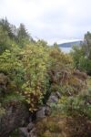 hkb_6-976_innlandet_2025_012