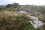 hkb_6-976_innlandet_2025_048