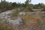 hkb_6-980_torgauten_2023_078