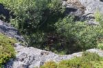 hkb_61-973_tysnes_2023_013