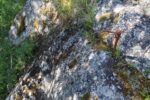 hkb_61-973_tysnes_2023_018