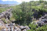 hkb_61-973_tysnes_2023_058