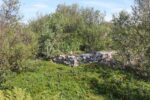 hkb_61-973_tysnes_2023_066