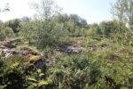 hkb_61-973_tysnes_2023_074