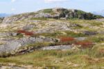 hkb_61-973_tysnes_2023_076