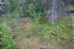hkb_62-973_korsnes_2023_013