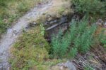 hkb_62-973_korsnes_2023_046
