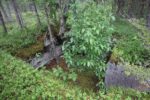 hkb_62-973_korsnes_2023_049