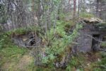 hkb_62-973_korsnes_2023_051