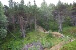 hkb_62-973_korsnes_2023_066