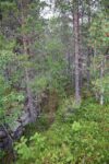 hkb_62-973_korsnes_2023_083