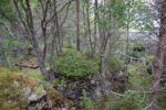 hkb_62-973_korsnes_2023_086