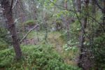 hkb_62-973_korsnes_2023_102