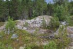 hkb_62-973_korsnes_2023_105