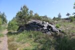 hkb_63-977_nordheim_2023_001