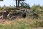 hkb_63-977_nordheim_2023_002