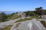 hkb_63-977_nordheim_2023_018