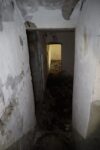 hkb_63-977_nordheim_2023_042