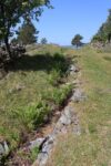 hkb_63-977_nordheim_2023_062