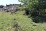 hkb_63-977_nordheim_2023_085
