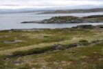 hkb_7-971_billefjord_2019_006