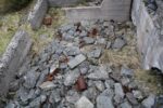 hkb_7-971_billefjord_2019_008
