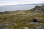 hkb_7-971_billefjord_2019_009