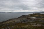 hkb_7-971_billefjord_2019_017