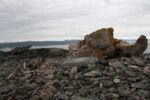 hkb_7-971_billefjord_2019_023