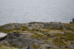 hkb_7-971_billefjord_2019_026
