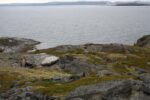 hkb_7-971_billefjord_2019_027