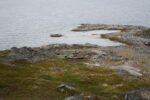 hkb_7-971_billefjord_2019_028