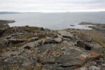 hkb_7-971_billefjord_2019_030