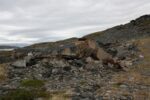 hkb_7-971_billefjord_2019_035