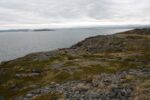 hkb_7-971_billefjord_2019_036
